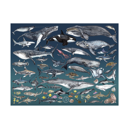 The Ocean 1000 Piece Jigsaw Puzzle