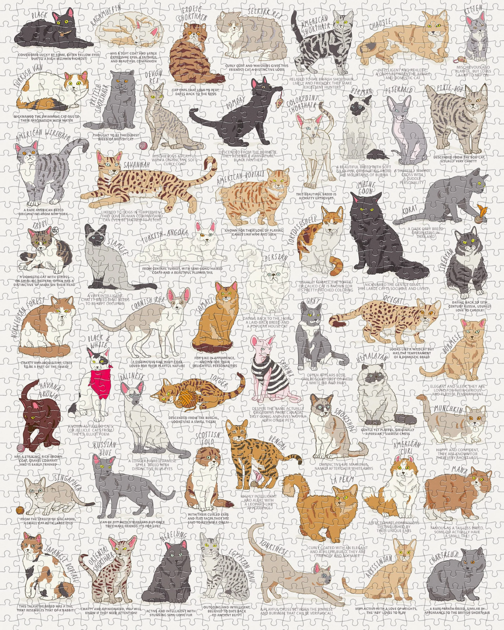 Cat Lover's Jigsaw 1000 Piece Jigsaw Puzzle