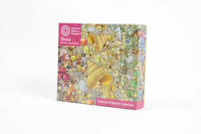 Natural History Museum - Shells 1000 Piece Jigsaw Puzzle