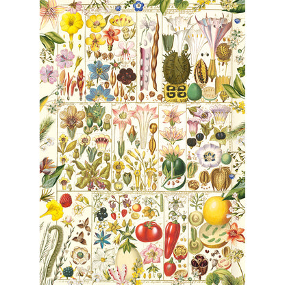 RHS: Botanical Bliss 1000 Piece Jigsaw Puzzle