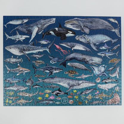 The Ocean 1000 Piece Jigsaw Puzzle