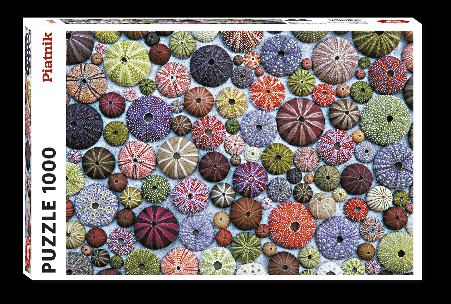 Sea Urchins 1000 Piece Jigsaw Puzzle